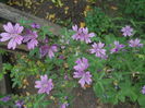 DSCN9833