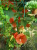 DSCN9702
