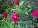 DSCN9730