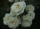 DSCN9731