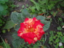 DSCN9793
