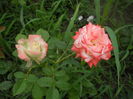 DSCN9807