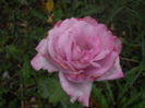 DSCN9808