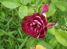 DSCN9815