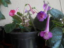 DSCN9672