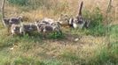 20160716_081203