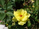 DSC09609