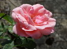 DSC09690