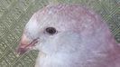 IMG_20160730_105040