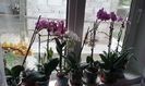 20160612_120538