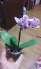20160327_205920
