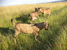 DSC00040