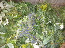DSC00056