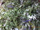 DSC00057
