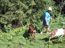 DSC00031
