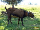 DSC00033