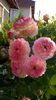 WP_20160728_006