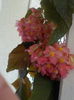 DSCN1114[1]