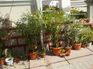 DSCN1105[1]