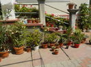 DSCN1106[1]