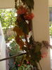DSCN1115[1]
