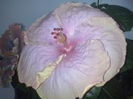 CAM00045