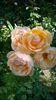 WP_20160731_077