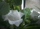 WIN_20160801_190718