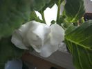 WIN_20160731_170724
