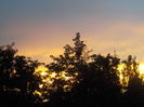 DSCN1138[1]