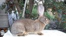 20160730_190559