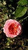 IMG_20160529_074823