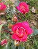 IMG_20160607_205601