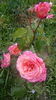 IMG_20160616_185644