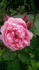 IMG_20160617_185448