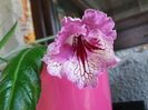 20160802_151038