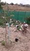 20160802_135552