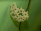 DSCN3344