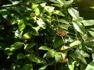 DSCN3350