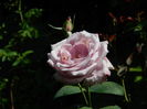 DSCN3351