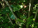 DSCN3391