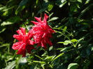 DSCN3396