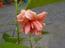 DSCN1170[1]
