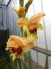 20160802_100551