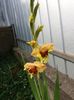 20160802_100543