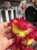 20160802_100525