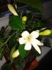 20160731_174204