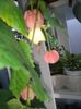 20160731_174244