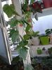 20160731_174254
