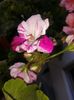20160731_174414